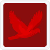 iVlog